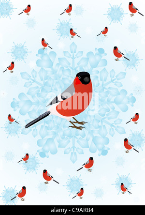 Winter-Vogel Stockfoto
