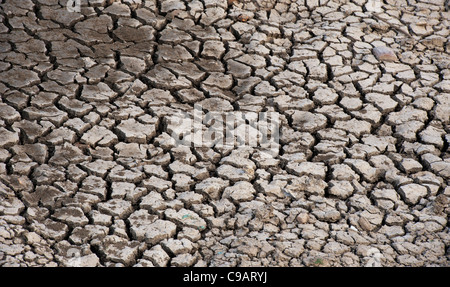 Chemische cracken Lehmboden Muster. Andhra Pradesh, Indien. Stockfoto