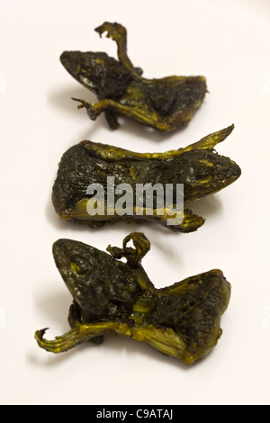 Fried River Frogs auf dem Markt in Vientiane Laos - ein Beispiel für die seltsamen oder seltsamen Speisen, die von Menschen auf der ganzen Welt gegessen werden Stockfoto