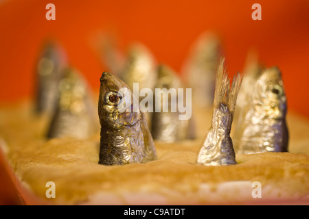 Stargazy Pie - Eine kornische Delikatesse - ein Beispiel für das seltsame oder seltsame Essen, das von Menschen auf der ganzen Welt gegessen wird Stockfoto