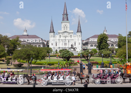 Kutschen, die aufgereiht vor Saint-Louis-Kathedrale in der Innenstadt von New Orleans, Louisiana Stockfoto