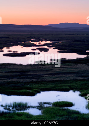 Buena Vista Teiche bei Sonnenaufgang. Malhuer National Wildlife Refuge. Oregon Stockfoto