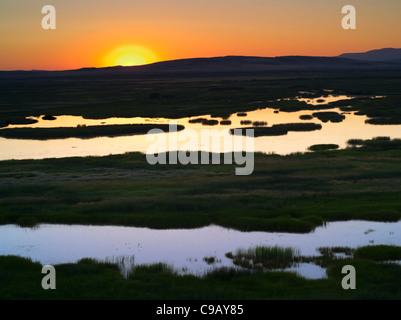 Buena Vista Teiche bei Sonnenaufgang. Malhuer National Wildlife Refuge. Oregon Stockfoto