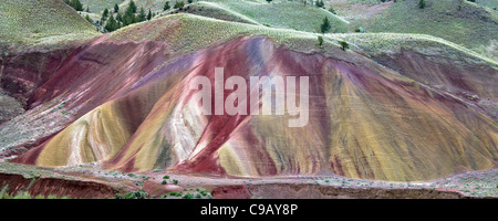 Gemalte Hügel. John Day Foissil Beds Nationalmonument. Oregon Stockfoto