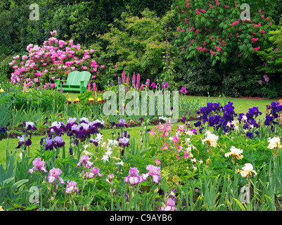 Iris und andere blühende Pflanzen mit Stuhl im Schriners Iris Garden. Oregon Stockfoto