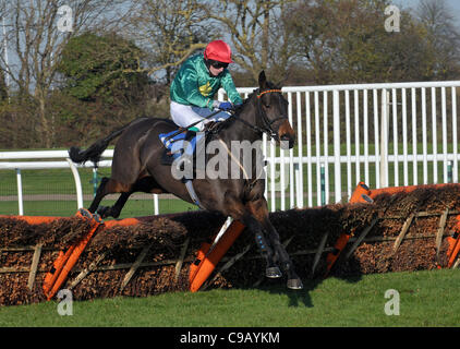 Lara Dora geritten von Wayne Kavanagh springt das letzte in der Totequadpot E B F Mares´ "National Hunt" Novices´ Hürde Huntingdon Racecourse, Brampton, Cambridgeshire - 19.11.2011 - CREDIT: Martin Dalton/TGSPHOTO Stockfoto