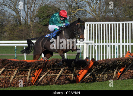 Lara Dora geritten von Wayne Kavanagh springt das letzte in der Totequadpot E B F Mares´ "National Hunt" Novices´ Hürde Huntingdon Racecourse, Brampton, Cambridgeshire - 19.11.2011 - CREDIT: Martin Dalton/TGSPHOTO Stockfoto