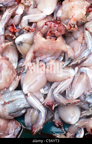 Dunkelhäutigen Frösche auf Verkauf im Markt Hanoi Stockfoto