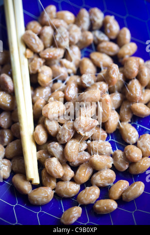 Natto oder fermentierte Sojabohnen - eine japanische Delikatesse - ein Beispiel für die seltsamen oder seltsamen Speisen, die von Menschen auf der ganzen Welt gegessen werden Stockfoto