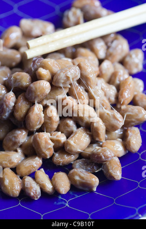 Natto oder fermentierte Sojabohnen - eine japanische Delikatesse - ein Beispiel für die seltsamen oder seltsamen Speisen, die von Menschen auf der ganzen Welt gegessen werden Stockfoto