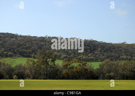 Kulturlandschaft, Avon Valley, in der Nähe von York, Western Australia, Australien Stockfoto