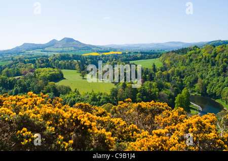 EILDON HILLS VON SCOTTS VIEW IN DEN SCOTTISH BORDERS MIT FLUSS TWEED Stockfoto