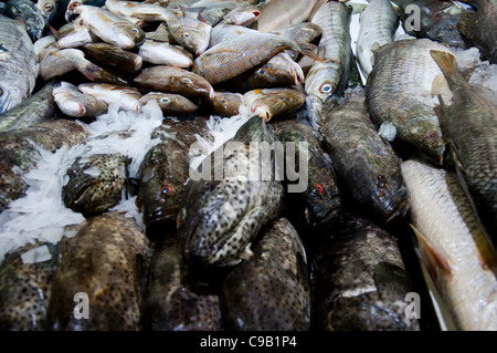 Billingsgate Fischmarkt, London, UK Stockfoto