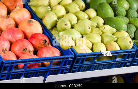Frisches Obst und Gemüse auf dem Display, full-Frame nehmen Stockfoto
