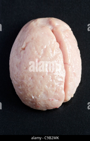 Raw Lambs Testicle - ein Beispiel für das seltsame oder seltsame Essen, das von Menschen auf der ganzen Welt gegessen wird Stockfoto