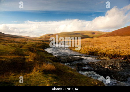 Elan-Fluss im Spätherbst Licht in der Nähe von Rhayader und Road to Cwmystwyth Powys Mid Wales UK Stockfoto