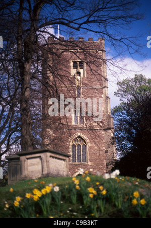 St. Woolos Cathedral mit Narzissen im Vordergrund Newport South Wales UK Stockfoto