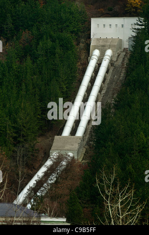 Central City Hauptwasserleitung. Große weiße Rohre im Wald Stockfoto