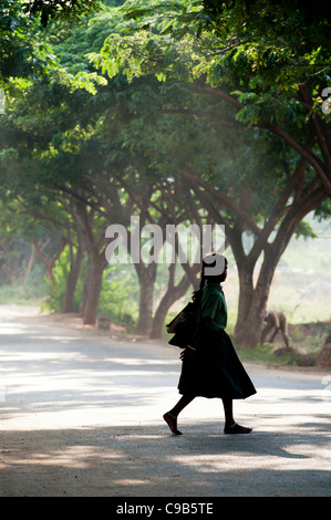 Indische Schule Mädchen Silhouette zu Fuß zur Schule tragen Bücher unter einer mit Bäumen gesäumten Straße. Andhra Pradesh, Indien Stockfoto