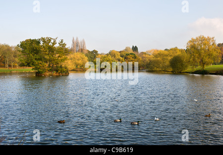 Lake Meadows Park in Billericay, Essex, an. Stockfoto