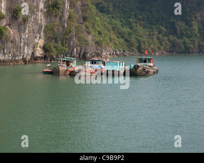 Vertikale Klippen und Boote auf schwimmenden Fischen Dorf der Vong Vieng, Halong-Bucht auf der South China Sea, Vietnam Stockfoto