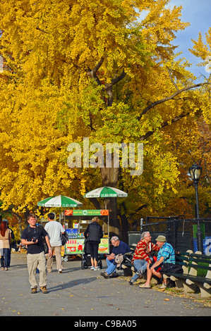 Herbstfärbung der Blätter ändern Farbe für den Herbst in Central Park Manhattan New York NYC USA Amerika Stockfoto