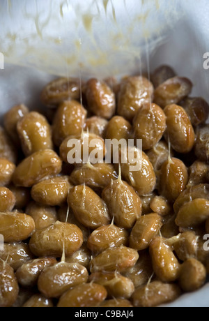 Natto oder fermentierte Sojabohnen - eine japanische Delikatesse - ein Beispiel für die seltsamen oder seltsamen Speisen, die von Menschen auf der ganzen Welt gegessen werden Stockfoto