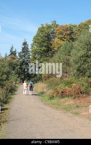 Kaukasischen Paare, die einen Weg in die Wyre Forest, Nr Bewdley, Worcestershire, England, UK Stockfoto