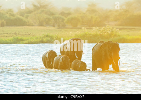 Simbabwe ist ein kleines Land mit einer unglaublichen Vielfalt an Landschaften und Tiere. Stockfoto