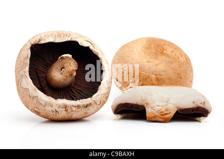 Portobello-Pilze auf weißem Hintergrund Stockfoto