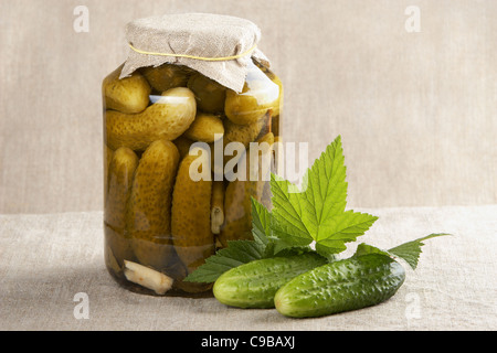 Gewürzgurken Stockfoto