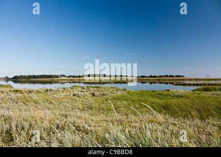 Landschaft auf Langeland bei Ristinge, Dänemark, Natur mieten Stockfoto