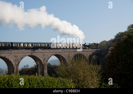 Dampfzug über Hookhills Viadukt Stockfoto