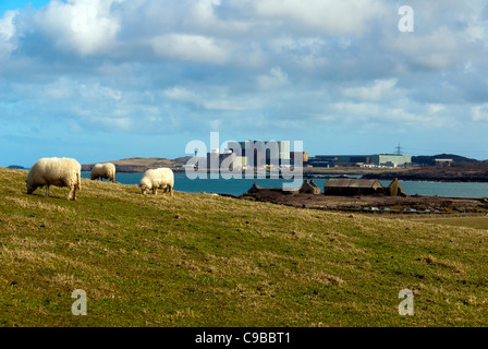 Wylfa Nuclear Power Station Cemaes Anglesey North Wales Uk Blick über Cemlyn Bucht Stockfoto
