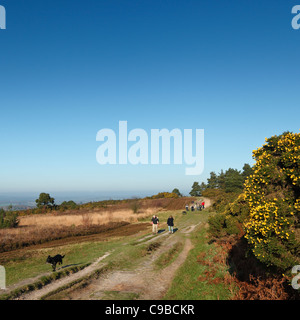 Familien gehen auf Ashdown Forest. Stockfoto