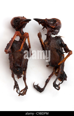 Gekochte gebratene Singvögel, die auf Straßenmärkten in Phnom Penh Kambodscha verkauft werden - ein Beispiel für seltsames oder seltsames Essen, das von Menschen auf der ganzen Welt gegessen wird Stockfoto