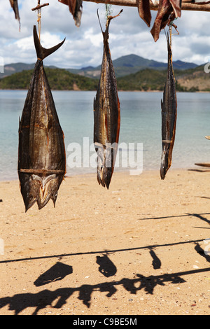 Trocknenden Fisch in der Sonne am Strand in Mamoko Island, Madagaskar Stockfoto