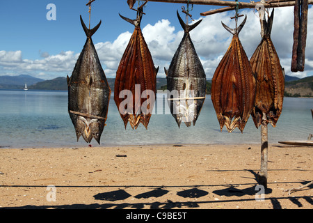 Trocknenden Fisch in der Sonne am Strand in Mamoko Island, Madagaskar Stockfoto