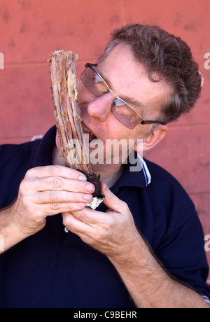 Mann isst gekochten Kängurutail im Outback Australien Stockfoto