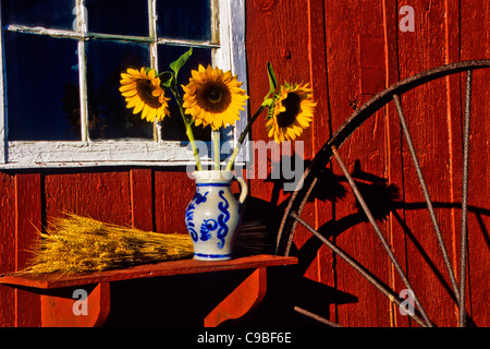 Herbstgartenblumen, Sonnenblumenstrauß in einem Tonkrug, rote Scheune Gartenschuppen Landwirtschaft Heurake Rad und Weizen, Monroe Twp., New Jersey, USA, USA Stockfoto