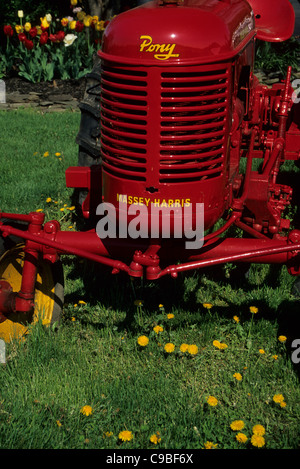 Massey Harris Pony, roter abstrakter Vintage Traktor, Frühlingsblumen, New Jersey Farm, USA, Vintage Traktoren antike Bilder vertikale Landwirtschaft Stockfoto