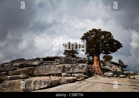 Ein Kletterer ist aufsteigend einige große Sandstein in Red Rock, in der Nähe von Las Vegas in Nevada. Stockfoto