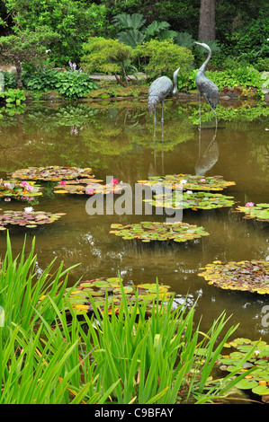 Shore Acres State Park in der Nähe von Coos Bay, Oregon Stockfoto