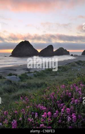 Abendlicht am Oregon Küste Strand zwischen Gold Beach und Brookings Abend. Stockfoto