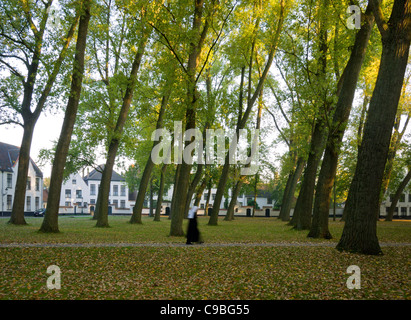 Eine Benediktinerin Wanderungen über das Grün des ummauerten 13.Jh. Begijnhof oder Beginenhof in Brügge, Belgien. Stockfoto