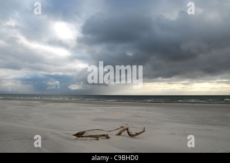 Strand von Dueodde auf der Ostsee-Insel Bornholm, Dänemark Stockfoto