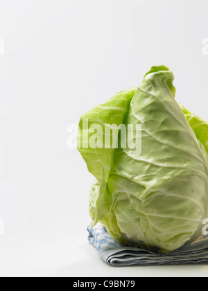 Spitz Kohl auf weißem Hintergrund Stockfoto