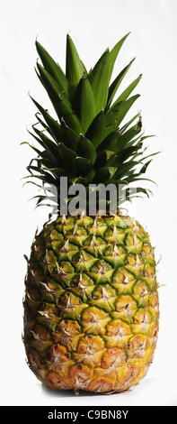 Ananas auf weißem Hintergrund Stockfoto