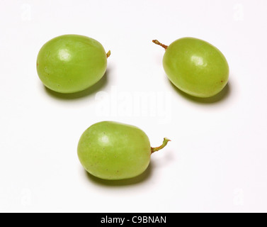 Grüne Trauben auf weißem Hintergrund Stockfoto