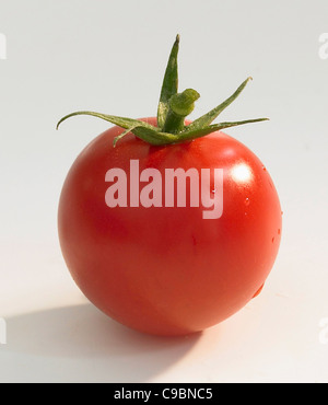 Tomaten auf weißem Hintergrund Stockfoto